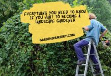 Everything You Need to Know If You Want to Become a Landscape Gardener
