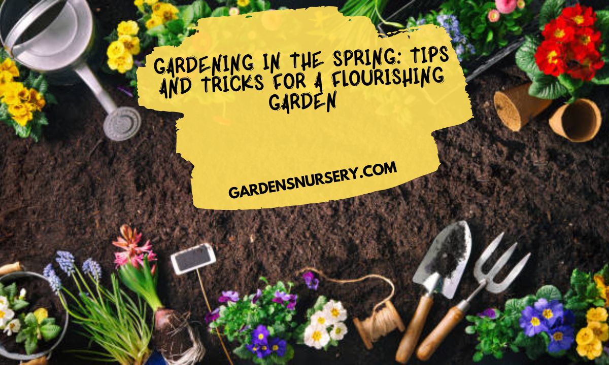 Gardening in the Spring Tips and Tricks for a Flourishing Garden