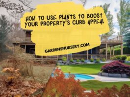 How To Use Plants To Boost Your Property's Curb Appeal