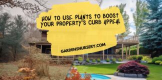 How To Use Plants To Boost Your Property's Curb Appeal