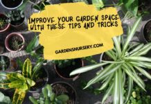 Improve Your Garden Space With These Tips And Tricks