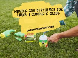 Miracle-Gro Fertilizer for Lawns A Complete Guide