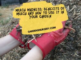 Mulch Madness Benefits of Mulch and How to Use it In Your Garden