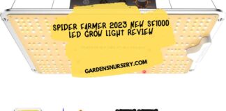 Spider Farmer 2023 New SF1000 LED Grow Light Review