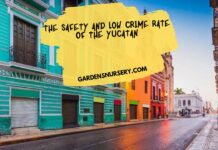 THE SAFETY AND LOW CRIME RATE OF THE YUCATAN