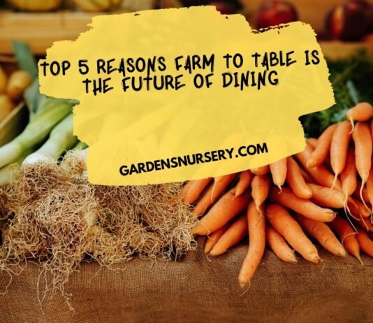 Top 5 Reasons Farm to Table is the Future of Dining