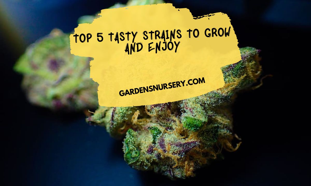 Top 5 Tasty Strains to Grow and Enjoy