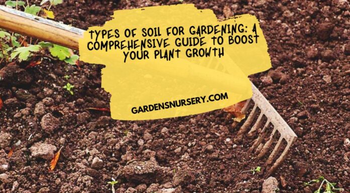 Types of Soil for Gardening A Comprehensive Guide to Boost Your Plant Growth