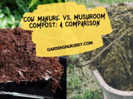 Cow Manure vs. Mushroom Compost A Comparison