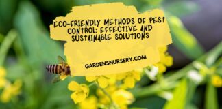 Eco-Friendly Methods of Pest Control Effective and Sustainable Solutions