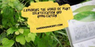 Exploring the World of Plant Identification and Appreciation
