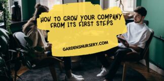How To Grow Your Company From Its First Steps