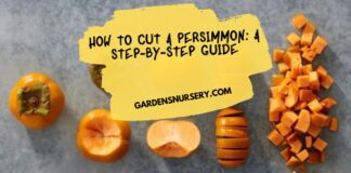How to Cut a Persimmon A Step-by-Step Guide