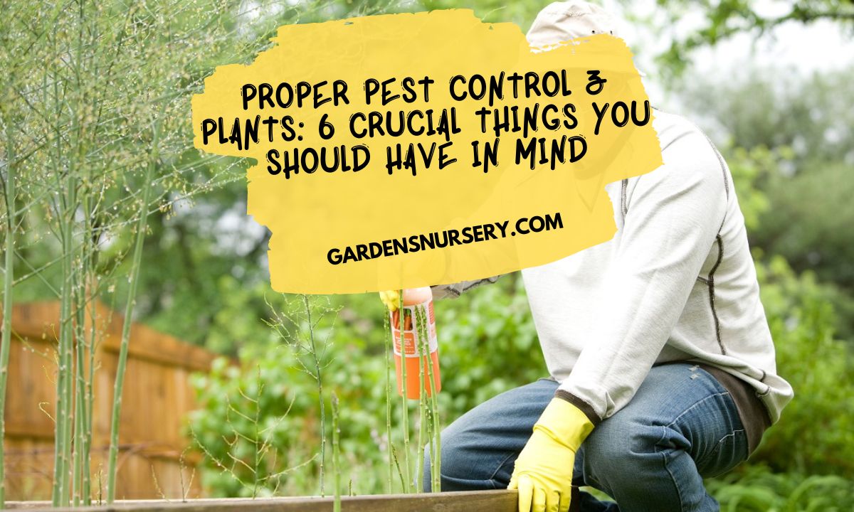 Proper Pest Control & Plants 6 Crucial Things You Should Have In Mind