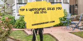 Top 6 Landscaping Ideas You Will Love