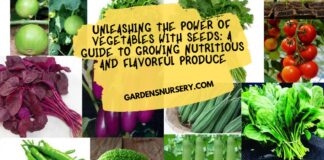 Unleashing the Power of Vegetables with Seeds A Guide to Growing Nutritious and Flavorful Produce