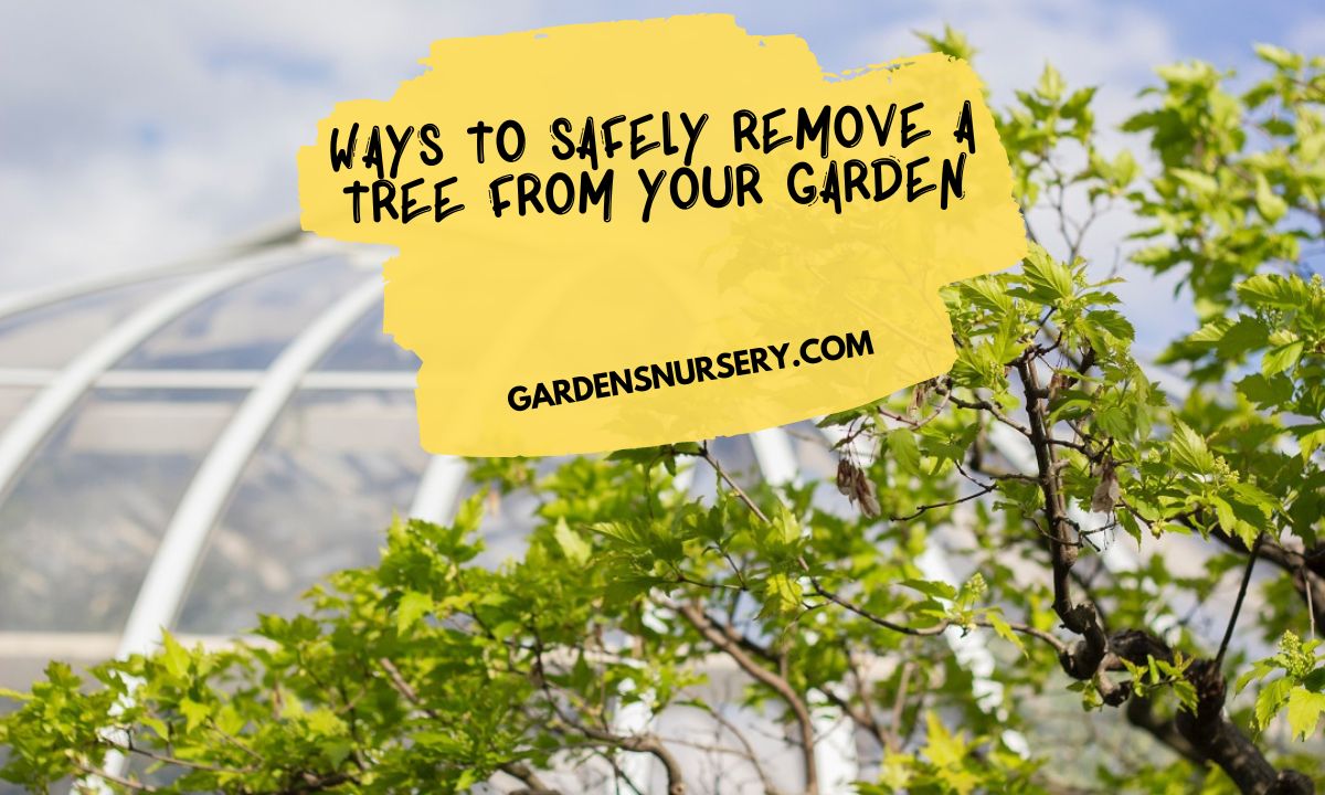 Ways to Safely Remove a Tree from Your Garden