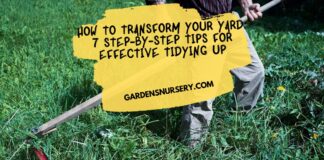 How to Transform Your Yard 7 Step-by-Step Tips for Effective Tidying Up