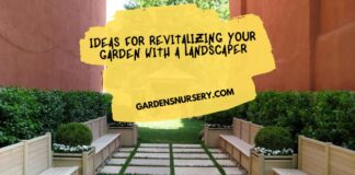 Ideas for Revitalizing Your Garden with a Landscaper