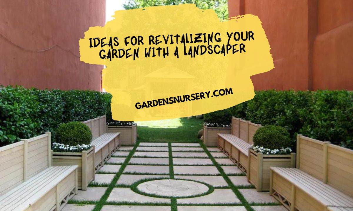 Ideas for Revitalizing Your Garden with a Landscaper