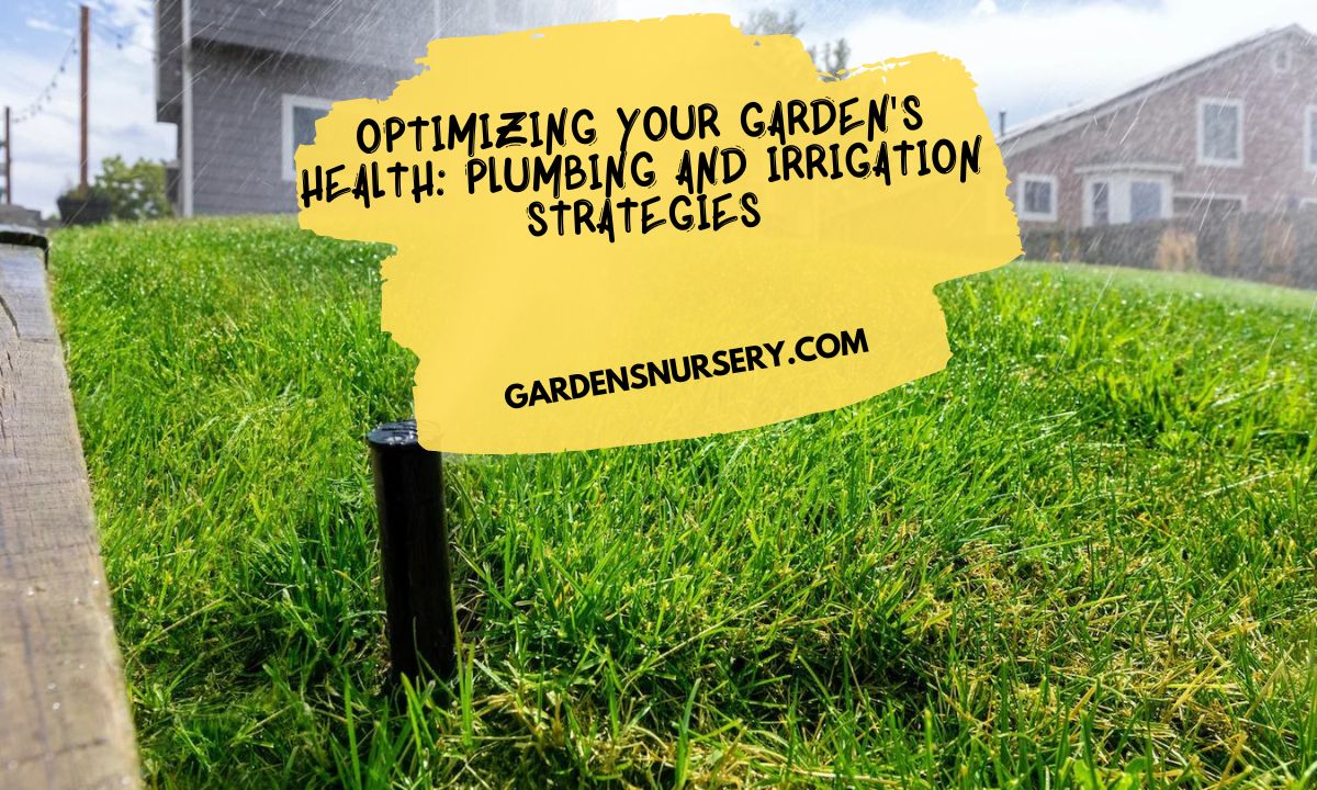 Optimizing Your Garden's Health Plumbing and Irrigation Strategies
