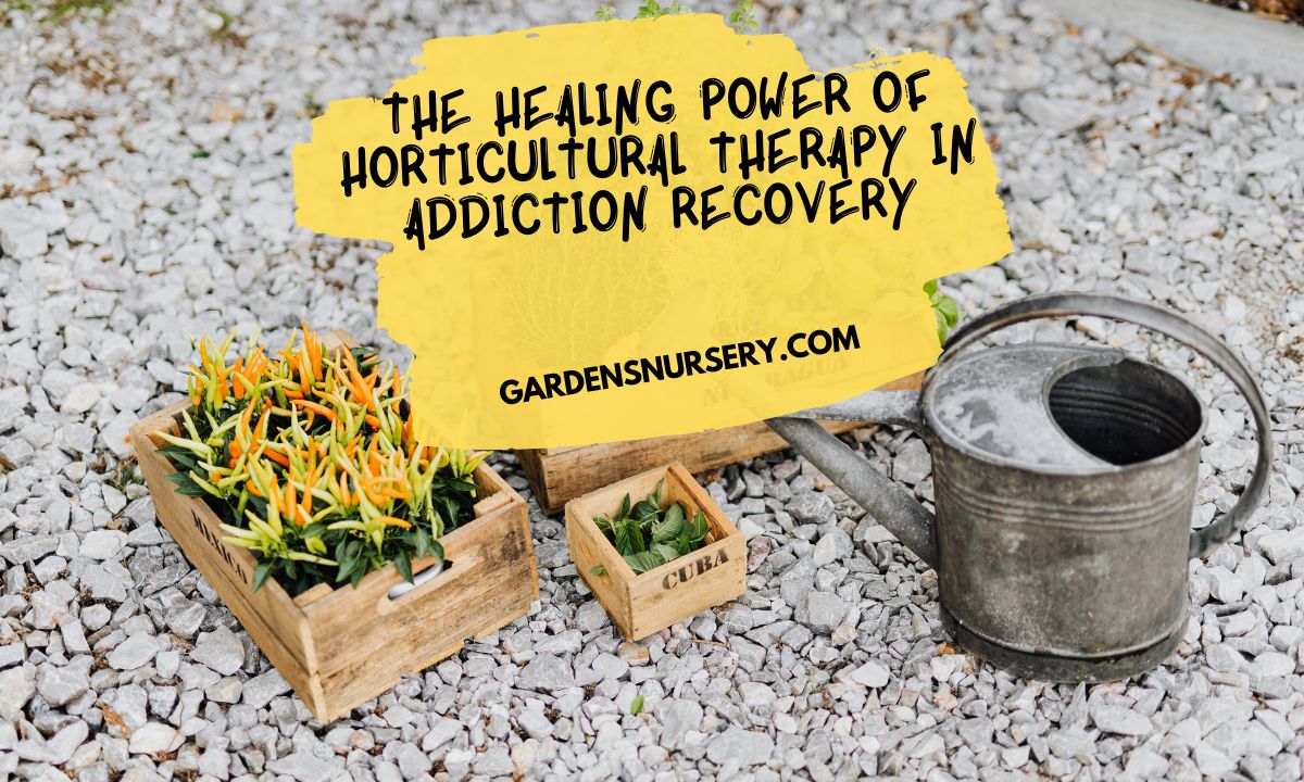 The Healing Power of Horticultural Therapy in Addiction Recovery