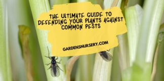 The Ultimate Guide To Defending Your Plants Against Common Pests