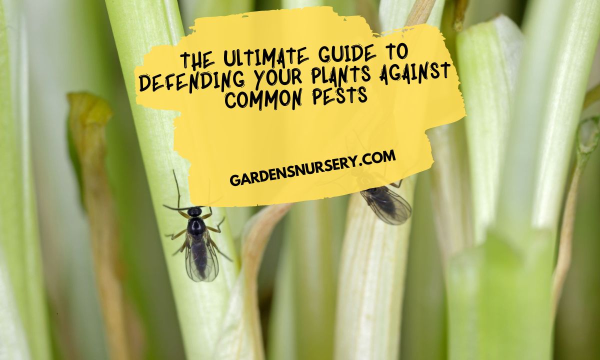 The Ultimate Guide To Defending Your Plants Against Common Pests