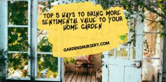 Top 5 Ways to Bring More Sentimental Value to Your Home Garden