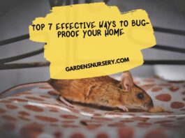 Top 7 Effective Ways to Bug-Proof Your Home