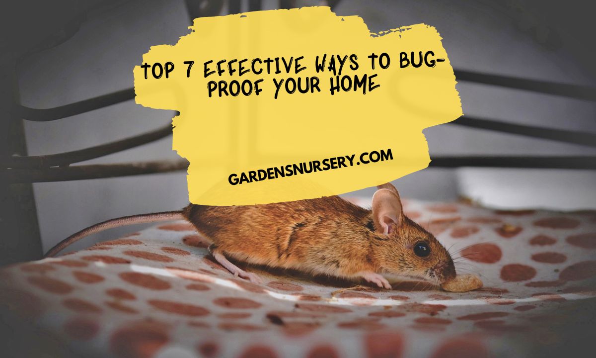 Top 7 Effective Ways to Bug-Proof Your Home