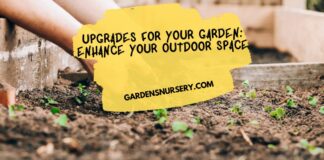 Upgrades for Your Garden Enhance Your Outdoor Space