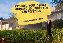 Watering Your Garden Plumbing Solutions for Emergencies