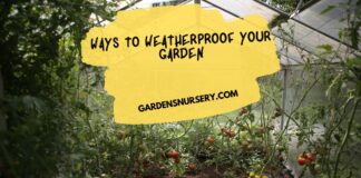 Ways to Weatherproof Your Garden