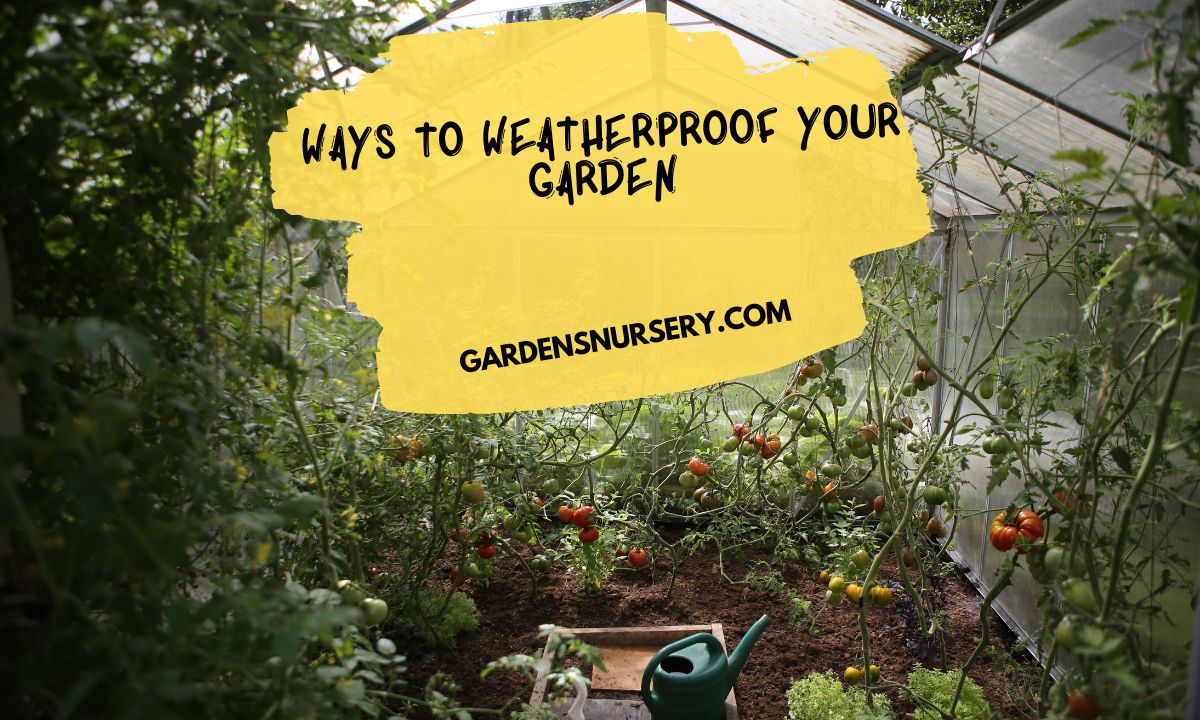 Ways to Weatherproof Your Garden