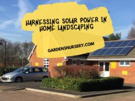 Harnessing Solar Power in Home Landscaping