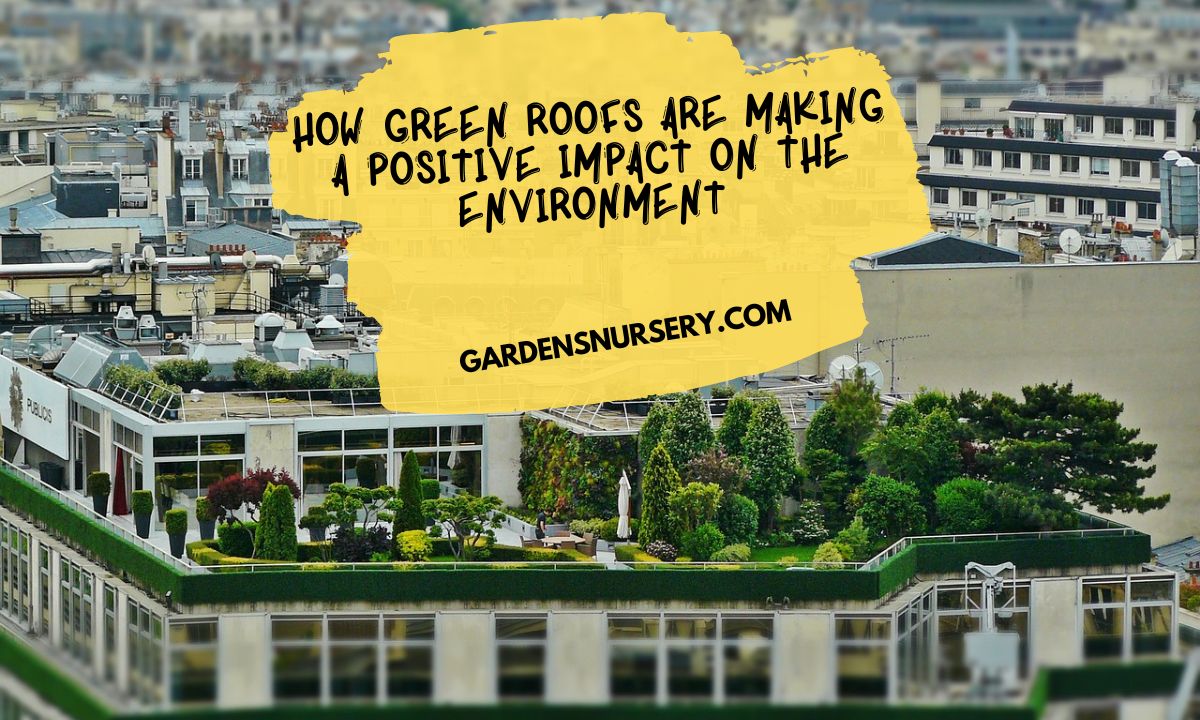 How Green Roofs are Making a Positive Impact on the Environment