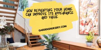 How Repainting Your Home Can Improve Its Appearance and Value