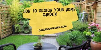 How to Design Your Home Garden