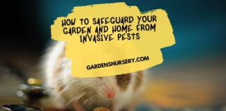 How to Safeguard Your Garden and Home from Invasive Pests