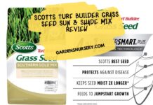 Scotts Turf Builder Grass Seed Sun & Shade Mix Review The Ultimate Guide