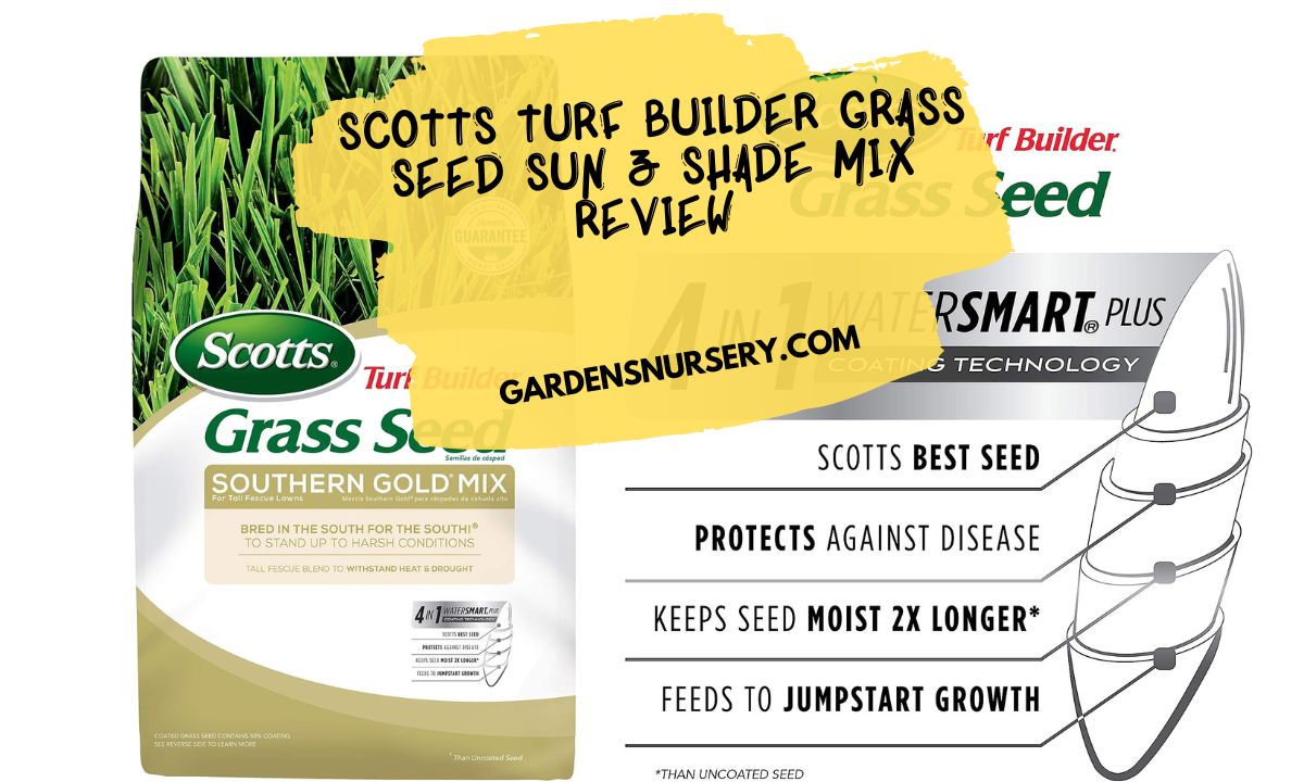 Scotts Turf Builder Grass Seed Sun & Shade Mix Review The Ultimate Guide