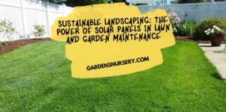 Sustainable Landscaping The Power of Solar Panels in Lawn and Garden Maintenance