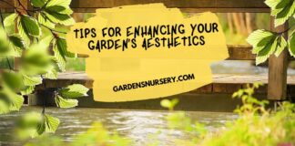 Tips for Enhancing Your Garden’s Aesthetics