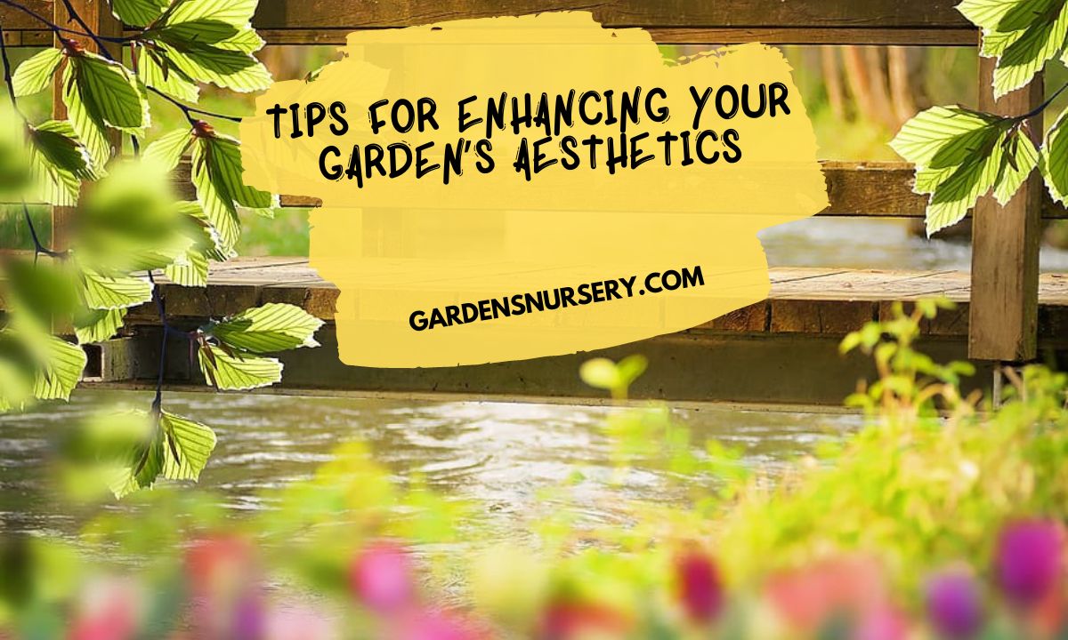 Tips for Enhancing Your Garden’s Aesthetics