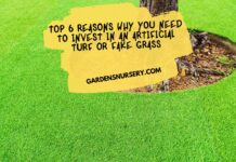 Top 6 Reasons Why You Need to Invest in an Artificial Turf or Fake Grass