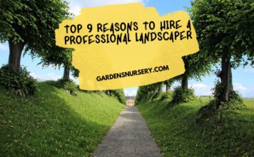 Top 9 Reasons to Hire a Professional Landscaper