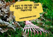 5 Ways to Prepare Your Garden for the Fall Transition