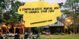 A Comprehensive Manual How to Enhance Your Yard