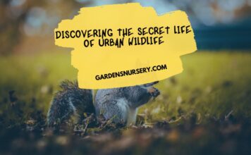 Discovering the Secret Life of Urban Wildlife
